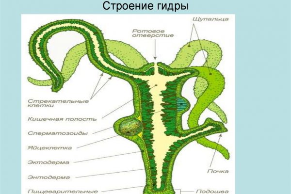 Впн чтобы зайти на кракен