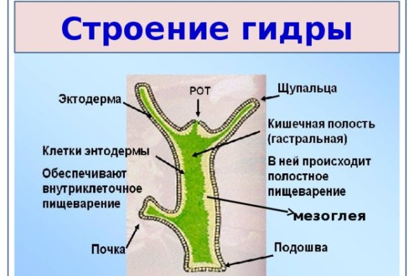 Kraken в россии