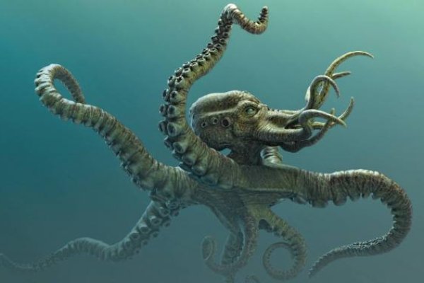 Kraken ссылка зеркало официальный