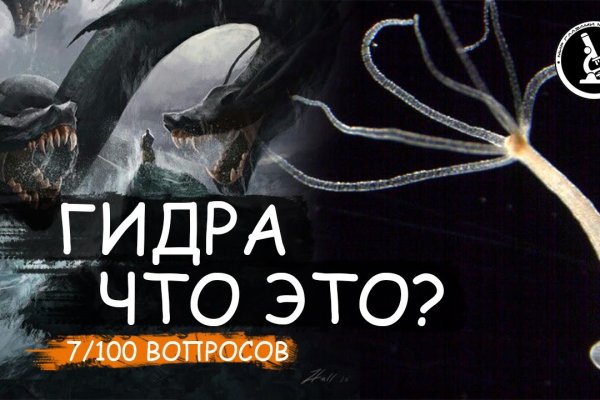 Кракен даркнет ссылка kraken link24 info